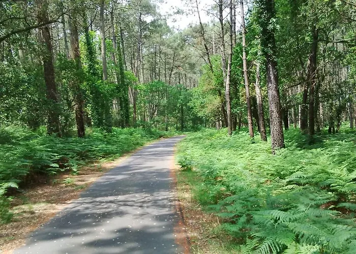 Les Verdurettes سوستون